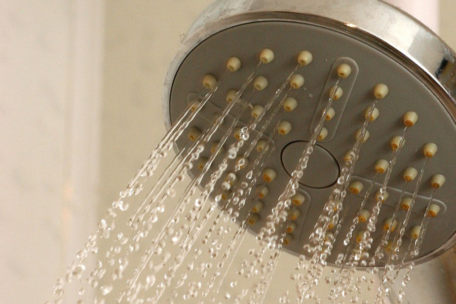 shower head